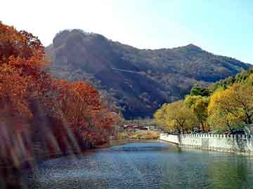 王錄山村民委員會，鄉(xiāng)村振興與社區(qū)發(fā)展的探索實踐最新項目